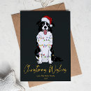 Search for border collie christmas cards Cute