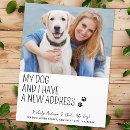Search for funny moving announcement cards Dog lover