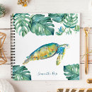 Search for white turtle Watercolor