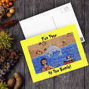 Search for beach cat postcards Vacation