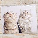 Search for cat calendars Cute
