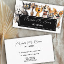 Search for funny cat business cards Animal care