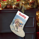 Search for white cat christmas stockings Festive