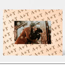 Search for vintage picture frames Anniversary