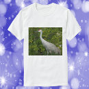Search for sandhill tshirts Nature