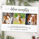 Search for three cats christmas cards Humour