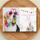 Search for funny dog image invitations Dogs