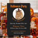 Search for cat image invitations Pet photo