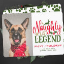 Search for funny naughty christmas cards Pet photo