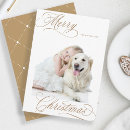 Search for merry christmas postcards Script