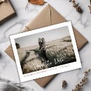 Search for simple save the date postcards Boho