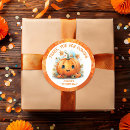 Search for cute little pumpkin stickers Birthday