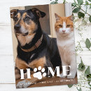 Search for paw prints invitations New address