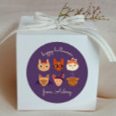 Search for witch costume stickers Pumpkin