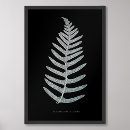 Search for black and white fern art Vintage