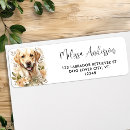 Search for hunting dogs return address labels Labrador retriever