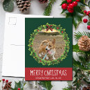 Search for dog christmas postcards Festive