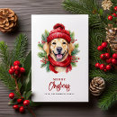 Search for labrador christmas cards Happy pawlidays