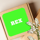 Search for pet name stickers White