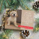 Search for rustic modern cards Stylish