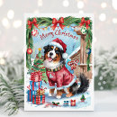Search for bernese mountain dog christmas cards Watercolor