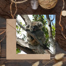 Search for australia cards Marsupial