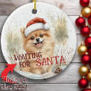 Search for pomeranian christmas tree decorations Watercolor