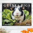 Search for pig calendars Cavy