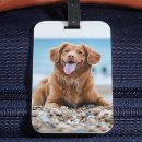 Search for unique luggage tags Modern