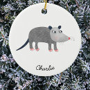 Search for possum christmas tree decorations Wildlife