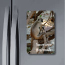 Search for ape monkey magnets Animal
