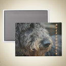 Search for profiling magnets Canine