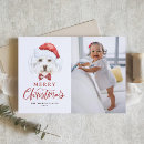 Search for maltese christmas cards Dog