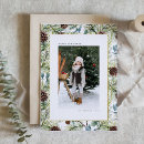 Search for pine cone christmas cards Botanical