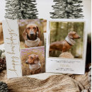 Search for simple dog photo cards Gold