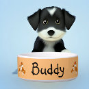 Search for fox pet supplies Cute