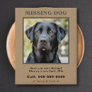 Search for missing flyers Animal