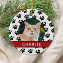 Search for paw christmas tree decorations Pet