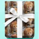 Search for cat dog wrapping paper Birthday