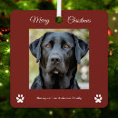 Search for dog christmas tree decorations Simple