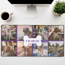 Search for doggie mousepads Purple