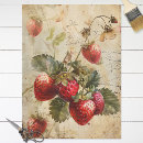 Search for strawberry tissue paper Decoupage