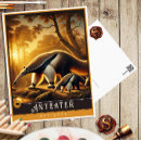 Search for anteating postcards Nature