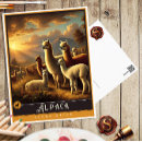 Search for alpacas postcards Nature