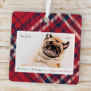 Search for red bird christmas tree decorations Pet