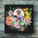 Search for hedgehog clocks Animals