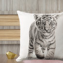 Search for cubs Nursery