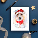 Search for wire fox terrier postcards Animals