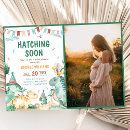 Search for hatching dinosaur invitations Brachiosaurus brontosaurus