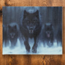 Search for wolf puzzles Winter